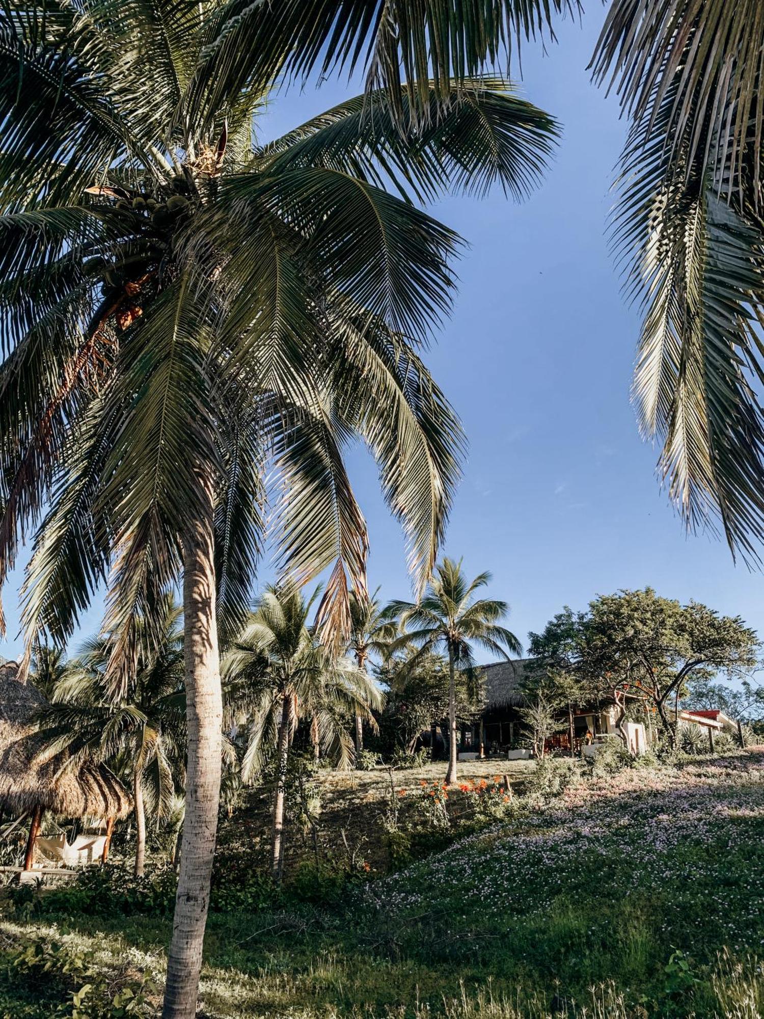 Nimbu Beachhouse Transito 외부 사진
